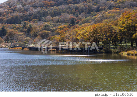 群馬県前橋市の秋 紅葉の赤城山覚満淵 群馬県前橋市の秋 紅葉の赤城山覚満淵 112106510