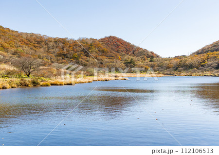群馬県前橋市の秋 紅葉の赤城山覚満淵 群馬県前橋市の秋 紅葉の赤城山覚満淵 112106513