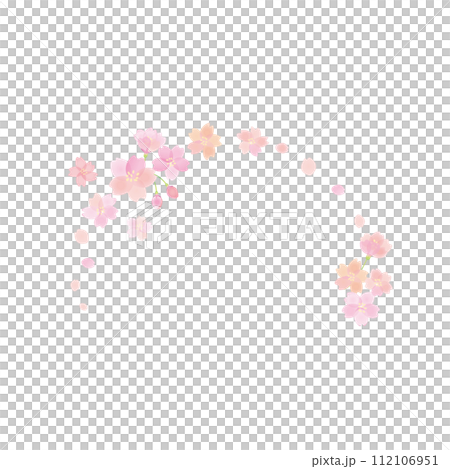 Cherry blossom flower cartoon 4 112106951