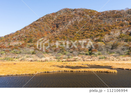 群馬県前橋市の秋 紅葉の赤城山覚満淵 群馬県前橋市の秋 紅葉の赤城山覚満淵 112106994