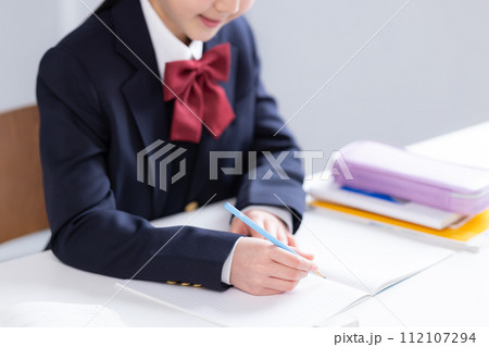 勉強する女子中学生の手元 112107294