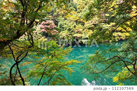 鳩ノ巣渓谷 112107569