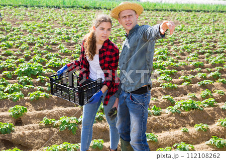 Farm workers talking together in field Farm workers talking together in field 112108262