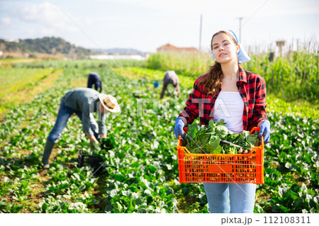 Woman holding crate full of organic spinach Woman holding crate full of organic spinach 112108311