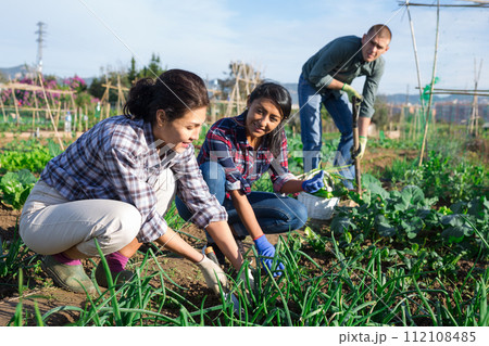 Woman caring for plants in garden with another worker 112108485