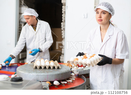 Female employee of poultry farm stacking carton trays with chicken eggs Female employee of poultry farm stacking carton trays with chicken eggs 112108756