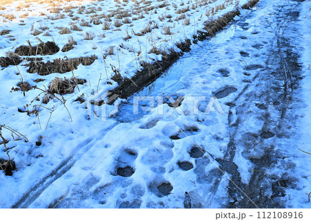 大雪後の残雪と薄氷　田圃の農道　荒川河川敷の冬景色　 112108916