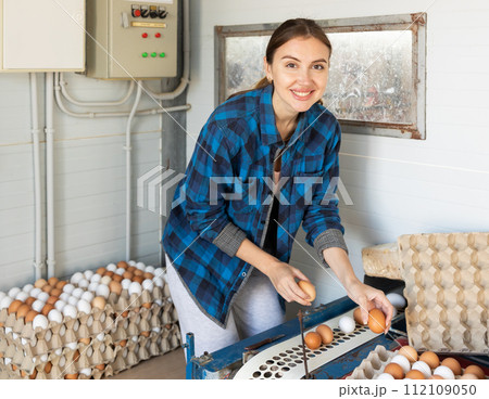 Smiling european woman in plaid shirt and cap collecting eggs in chicken farm Smiling european woman in plaid shirt and cap collecting eggs in chicken farm 112109050