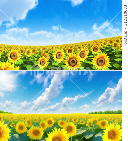 Summer blue sky and sunflower field landscape/July birth flower (2 images) | Copyright issues cleared adobe AI image editing 112110033