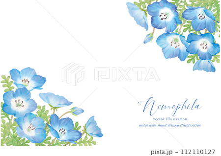 アネモネと優しいタッチのアネモネのフレーム 112110127