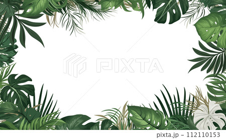 AI-generated content. Tropical leaves nature frame layout of Monstera, isolated, white background 112110153