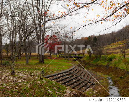 ほとんどの木が落葉した風景 112110232