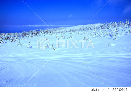 樹氷原1 112110441