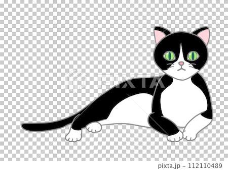 A cat with a honeycomb is in a relaxed position, raising its upper body and looking straight ahead. A cat with a honeycomb is in a relaxed position, raising its upper body and looking straight ahead. 112110489