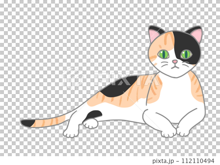 A black calico cat is in a relaxed position, raising its upper body and looking straight ahead. 112110494