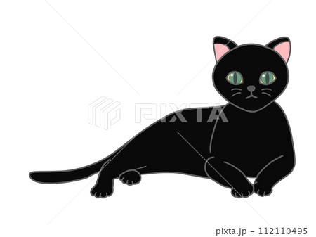 黒猫がリラックスした体勢で上体を上げ、正面を真っ直ぐ見つめているの