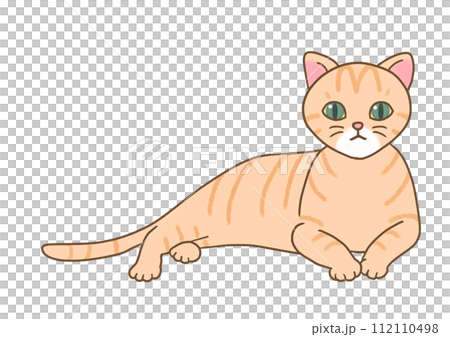 A brown tabby cat is in a relaxed position with its upper body raised and looking straight ahead. A brown tabby cat is in a relaxed position with its upper body raised and looking straight ahead. 112110498