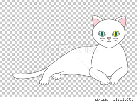 An odd-eyed white cat is in a relaxed position, lifting its upper body and looking straight ahead. An odd-eyed white cat is in a relaxed position, lifting its upper body and looking straight ahead. 112110500