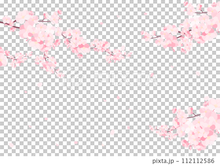 櫻花花瓣框架 112112586