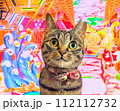 見つめる猫 112112732