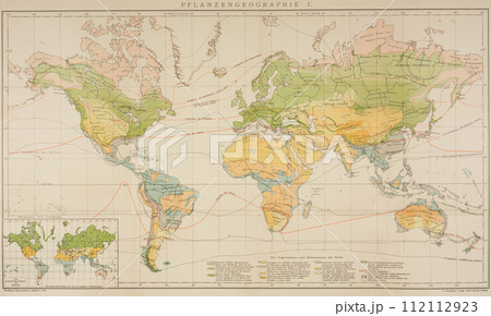 20世紀初頭　世界地図　植生地理学 112112923