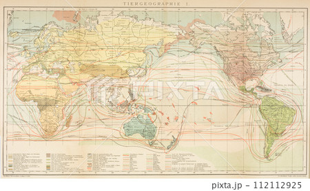 20世紀初頭　世界地図　生物地理学 112112925
