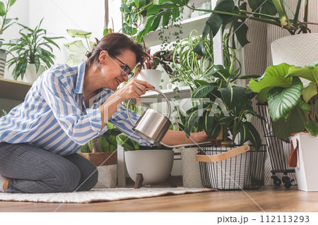 A young woman enjoys caring for flowers. Watering indoor plants and admiring them. A young woman enjoys caring for flowers. Watering indoor plants and admiring them. 112113293