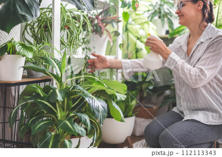 A young woman enjoys caring for flowers. Watering indoor plants and admiring them. A young woman enjoys caring for flowers. Watering indoor plants and admiring them. 112113343