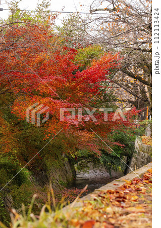 京都 哲学の道の紅葉 京都 哲学の道の紅葉 112113424