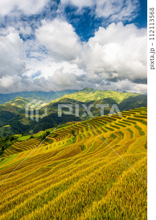 Rice fields on terraced of Mu Cang Chai, YenBai, Vietnam. Rice fields on terraced of Mu Cang Chai, YenBai, Vietnam. 112113568