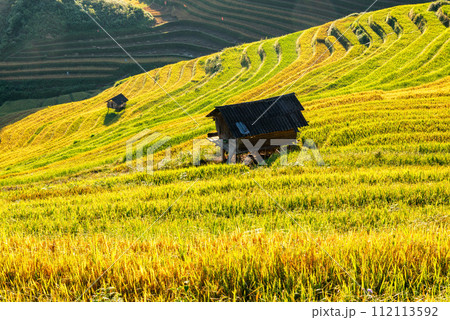 Rice fields on terraced of Mu Cang Chai, YenBai, Vietnam. 112113592