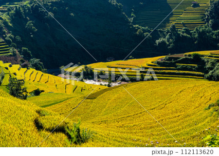 Rice fields on terraced of Mu Cang Chai, YenBai, Vietnam. Rice fields on terraced of Mu Cang Chai, YenBai, Vietnam. 112113620