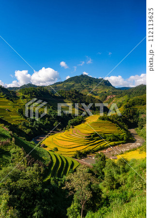 Rice fields on terraced of Mu Cang Chai, YenBai, Vietnam. 112113625
