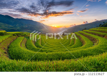Rice fields on terraced of Mu Cang Chai, YenBai, Vietnam. Rice fields on terraced of Mu Cang Chai, YenBai, Vietnam. 112113627