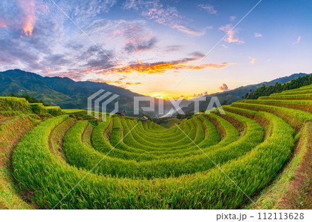 Rice fields on terraced of Mu Cang Chai, YenBai, Vietnam. Rice fields on terraced of Mu Cang Chai, YenBai, Vietnam. 112113628