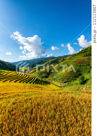 Rice fields on terraced of Mu Cang Chai, YenBai, Vietnam. Rice fields on terraced of Mu Cang Chai, YenBai, Vietnam. 112113887