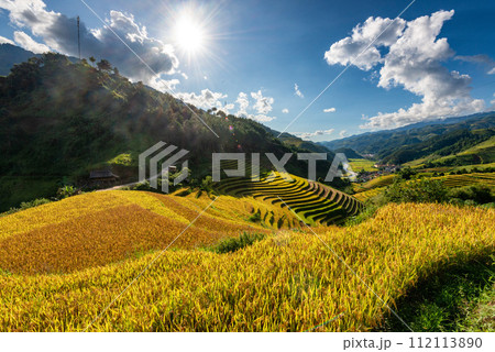 Rice fields on terraced of Mu Cang Chai, YenBai, Vietnam. 112113890