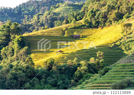 Rice fields on terraced of Mu Cang Chai, YenBai, Vietnam. Rice fields on terraced of Mu Cang Chai, YenBai, Vietnam. 112113899