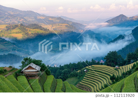 Rice fields on terraced of Mu Cang Chai, YenBai, Vietnam. Rice fields on terraced of Mu Cang Chai, YenBai, Vietnam. 112113920