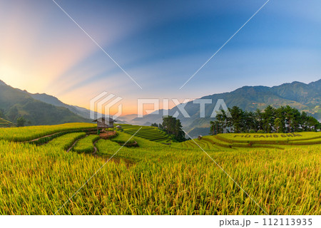 Rice fields on terraced of Mu Cang Chai, YenBai, Vietnam. Rice fields on terraced of Mu Cang Chai, YenBai, Vietnam. 112113935