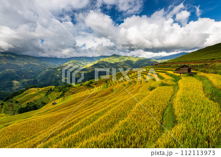 Rice fields on terraced of Mu Cang Chai, YenBai, Vietnam. 112113973