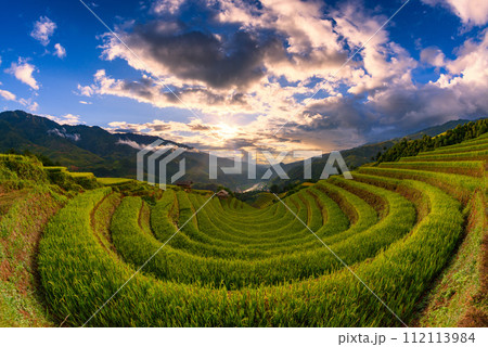 Rice fields on terraced of Mu Cang Chai, YenBai, Vietnam. 112113984