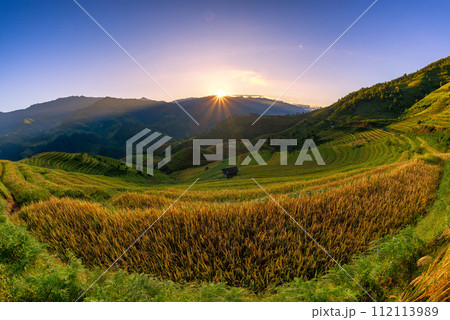 Rice fields on terraced of Mu Cang Chai, YenBai, Vietnam. 112113989