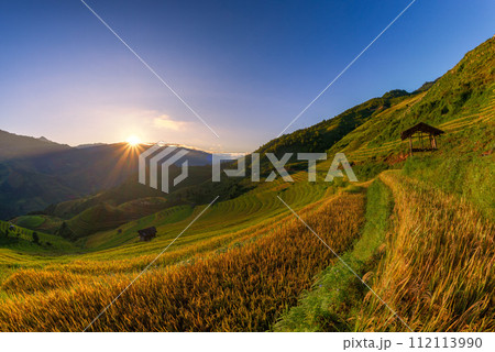 Rice fields on terraced of Mu Cang Chai, YenBai, Vietnam. Rice fields on terraced of Mu Cang Chai, YenBai, Vietnam. 112113990