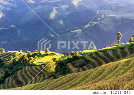 Rice fields on terraced of Mu Cang Chai, YenBai, Vietnam. Rice fields on terraced of Mu Cang Chai, YenBai, Vietnam. 112114046
