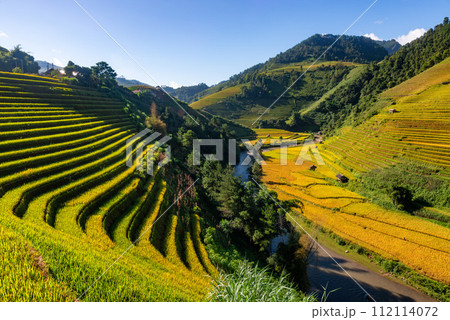 Rice fields on terraced of Mu Cang Chai, YenBai, Vietnam. 112114072