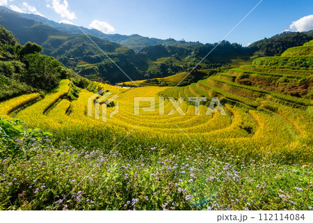 Rice fields on terraced of Mu Cang Chai, YenBai, Vietnam. Rice fields on terraced of Mu Cang Chai, YenBai, Vietnam. 112114084