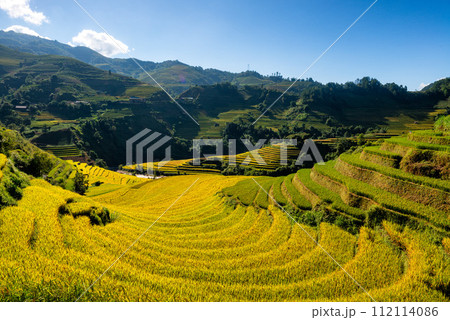 Rice fields on terraced of Mu Cang Chai, YenBai, Vietnam. Rice fields on terraced of Mu Cang Chai, YenBai, Vietnam. 112114086