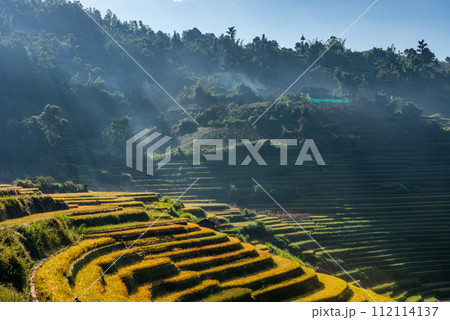 Rice fields on terraced of Mu Cang Chai, YenBai, Vietnam. Rice fields on terraced of Mu Cang Chai, YenBai, Vietnam. 112114137