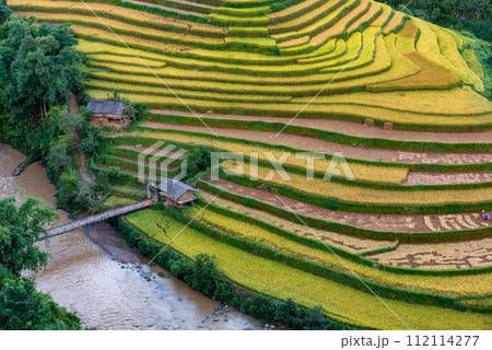 Rice fields on terraced of Mu Cang Chai, YenBai, Vietnam. 112114277